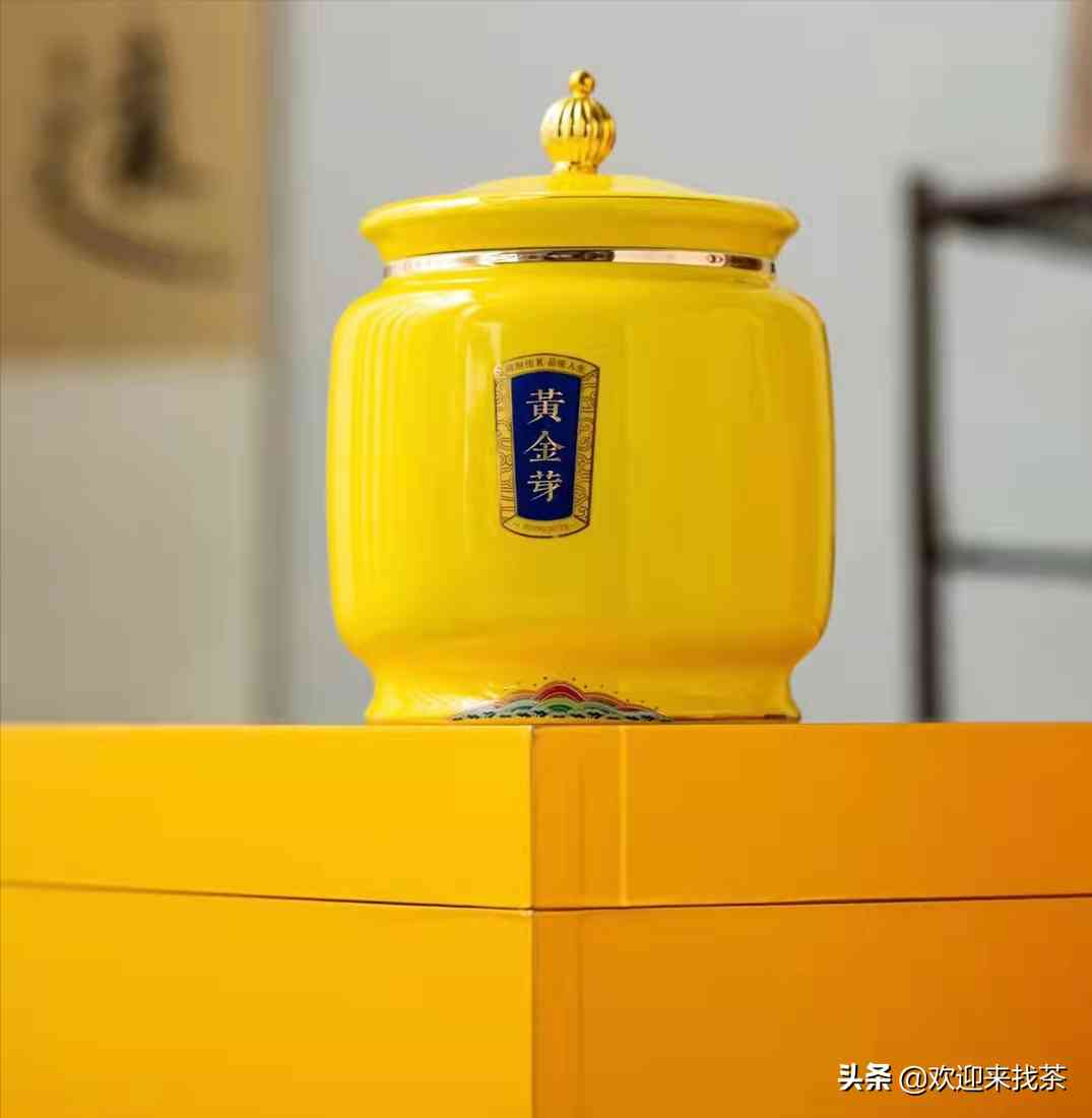 黄金芽茶叶价格一般在多少插图4