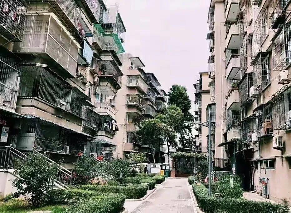 芜湖黄金.价格(今日芜湖黄金多少钱一克)插图8 芜湖黄金.价格(今日芜湖黄金多少钱一克)插图8