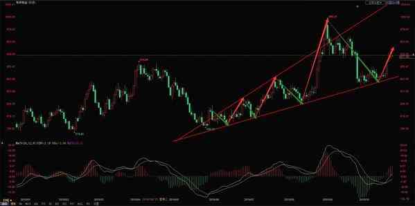 今日铂金价格(白金pt950的今日回收价格)插图1 今日铂金价格(白金pt950的今日回收价格)插图1