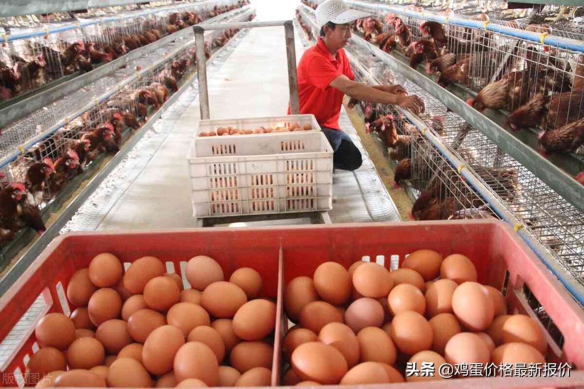 枣阳楼市现状图今日金价(枣阳楼市现状图今日金价查询)插图1