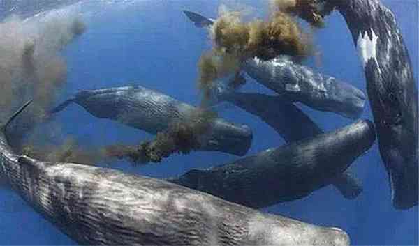 罗山回收黄金价格今日查询(罗山回收黄金价格今日查询表)插图3