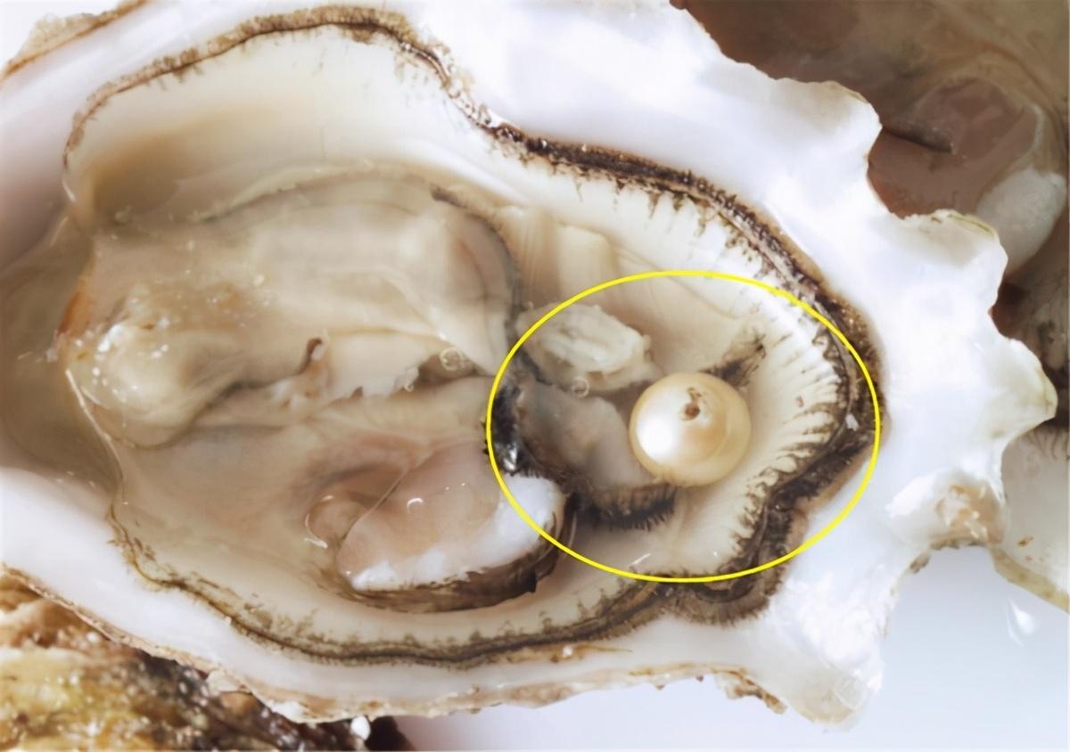 罗山回收黄金价格今日查询(罗山回收黄金价格今日查询表)插图7