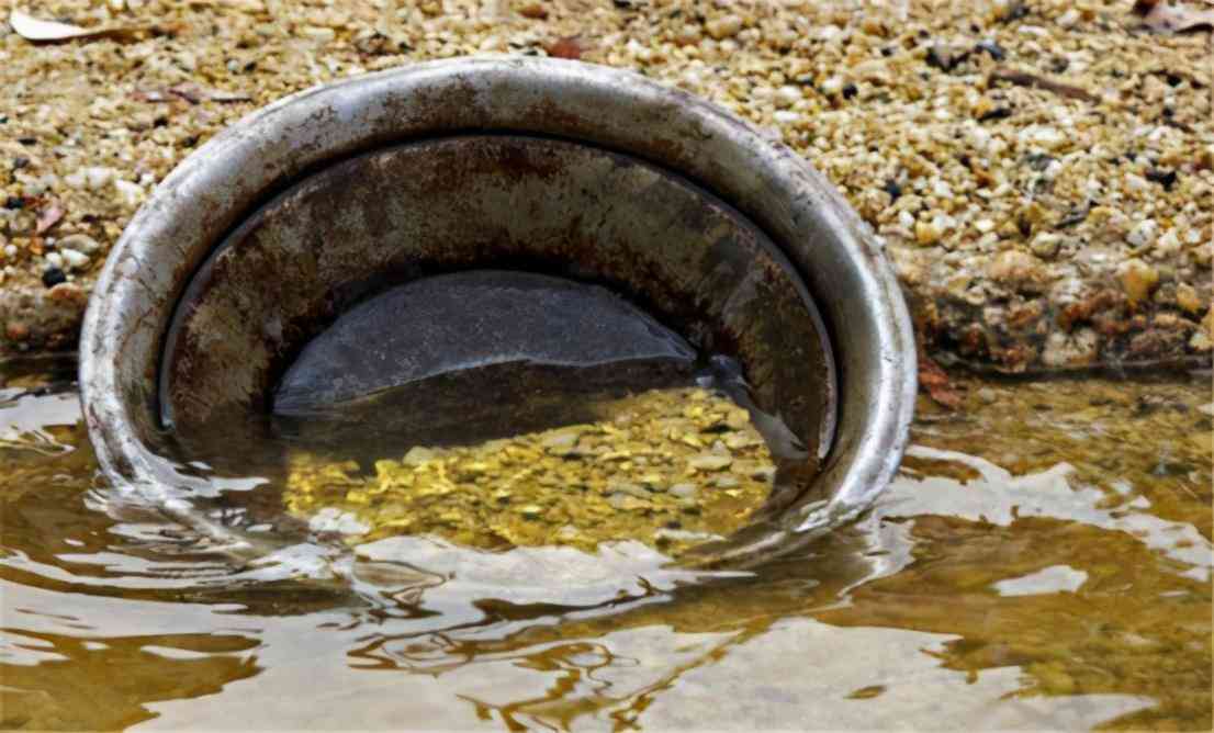 罗山回收黄金价格今日查询(罗山回收黄金价格今日查询表)插图11