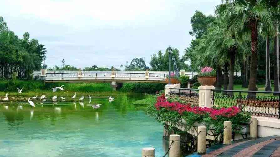 花都黄金价格今日查询(花都黄金价格今日查询表)插图3