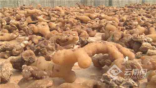 昌宁回收黄金价格表今日(昌宁回收黄金价格表今日查询)