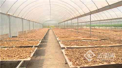 昌宁回收黄金价格表今日(昌宁回收黄金价格表今日查询)插图3 昌宁回收黄金价格表今日(昌宁回收黄金价格表今日查询)插图3