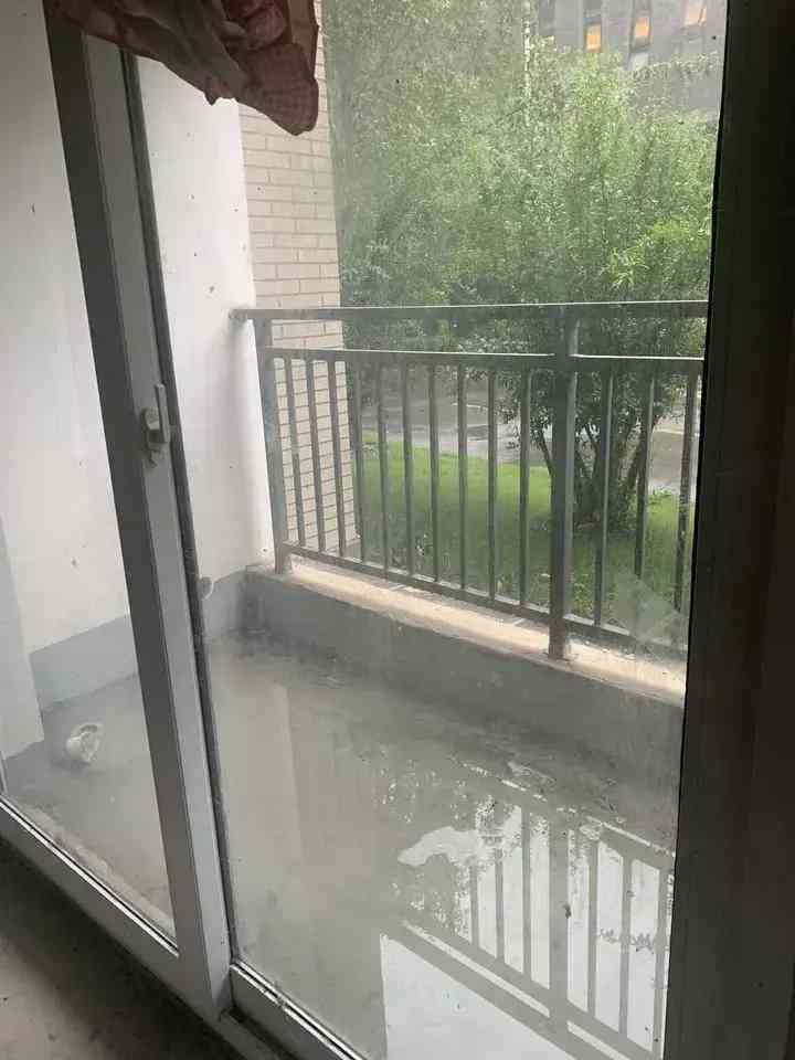 今日长葛黄金价格(今日长葛黄金价格查询)插图27