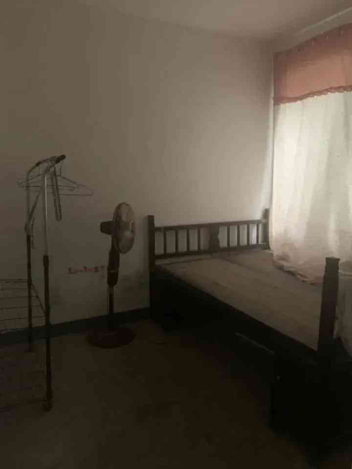 今日长葛黄金价格(今日长葛黄金价格查询)插图28