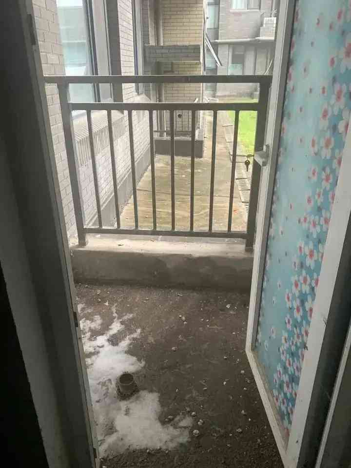 今日长葛黄金价格(今日长葛黄金价格查询)插图30