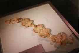 玉环今日金价多少一克(玉环今日金价多少一克呢)插图11