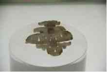 玉环今日金价多少一克(玉环今日金价多少一克呢)插图12