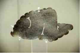 玉环今日金价多少一克(玉环今日金价多少一克呢)插图18