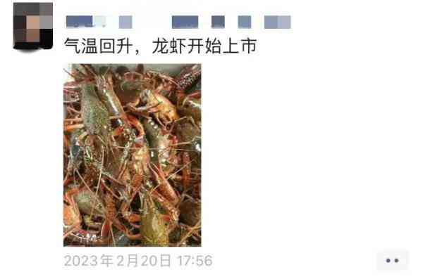 8月11日今日金价(8月11日今日金价多少钱)插图9