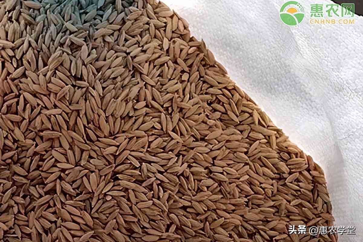 松原2023今日金价(松原今日黄金价格)