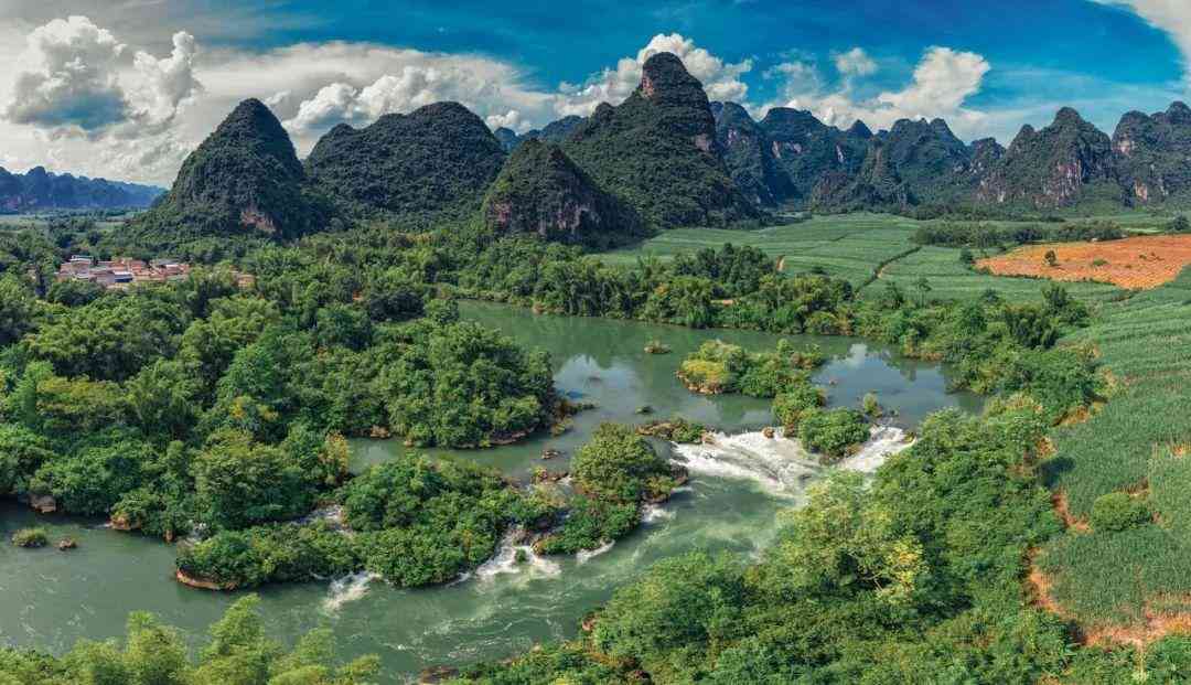 婴猴幼崽今日黄金价格(小婴猴价格)插图2