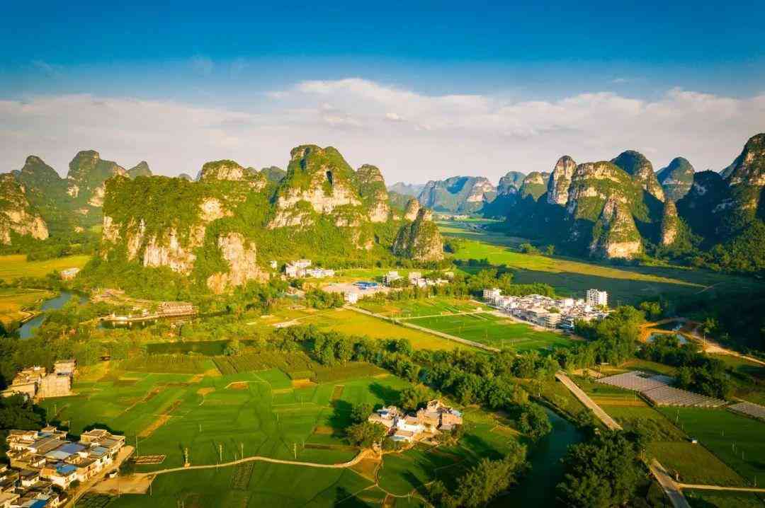 婴猴幼崽今日黄金价格(小婴猴价格)插图12