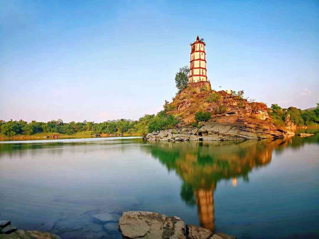 婴猴幼崽今日黄金价格(小婴猴价格)插图24