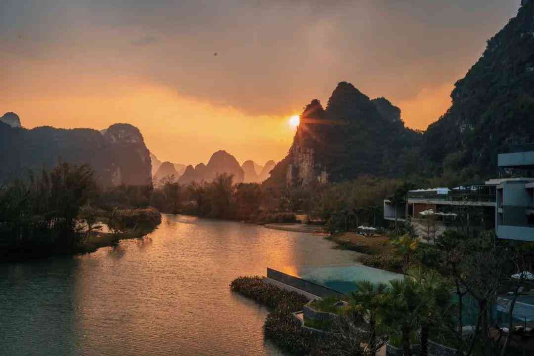 婴猴幼崽今日黄金价格(小婴猴价格)插图40