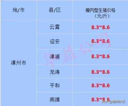 福建黄金金价今日价格(福建黄金金价今日价格表)插图1