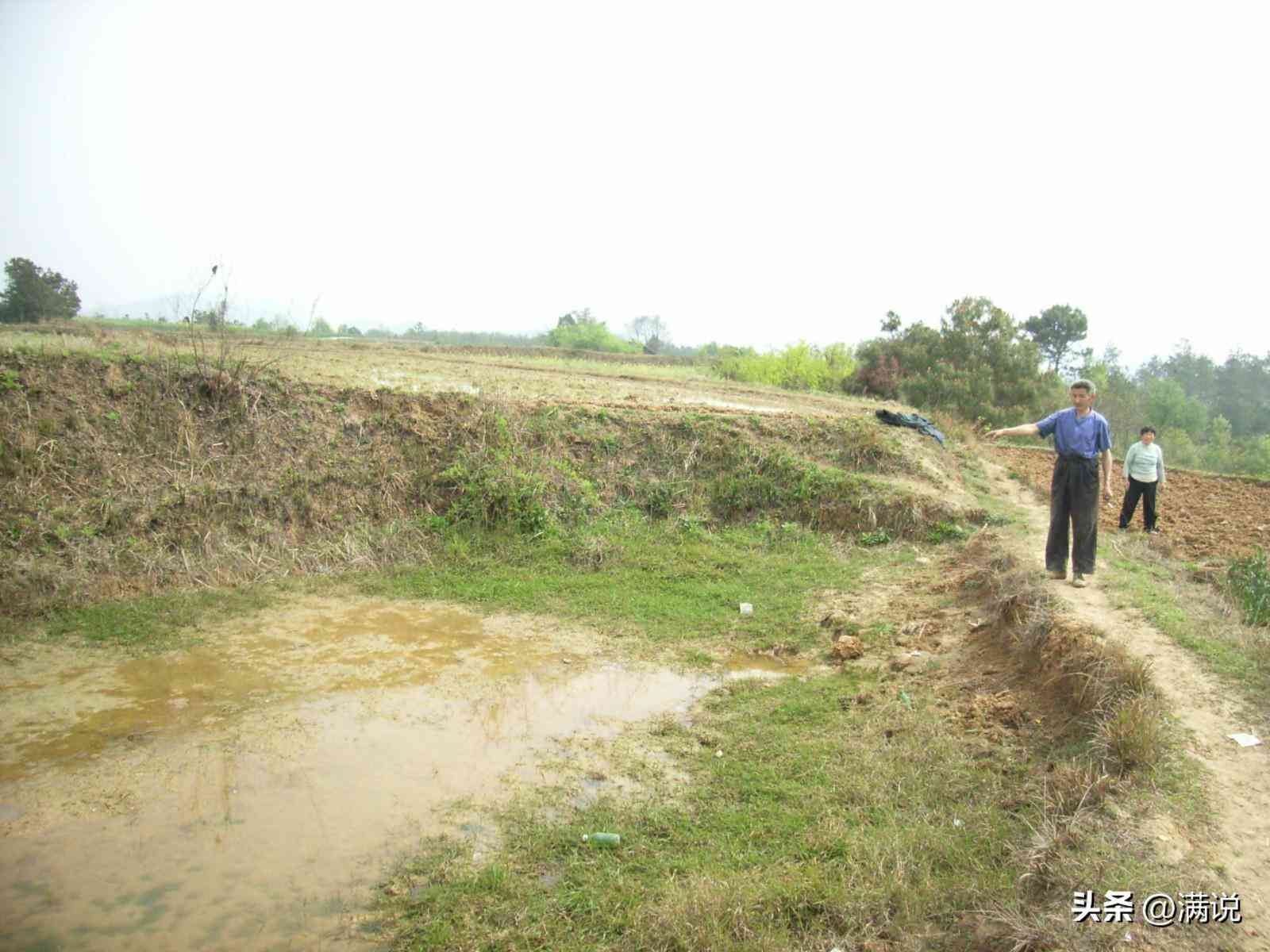 二两黄金价格今日价(二两黄金价格今日价格表)