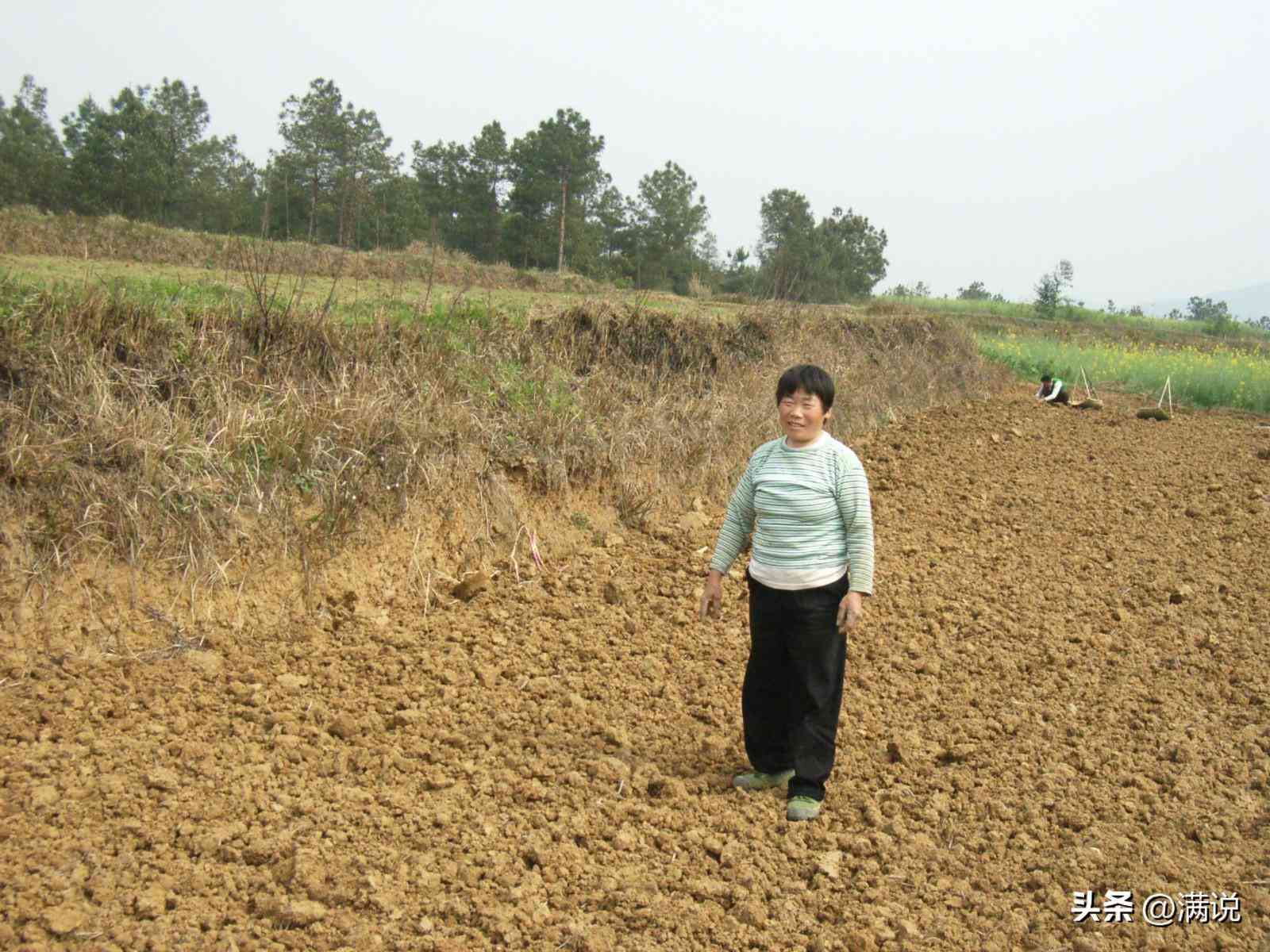 二两黄金价格今日价(二两黄金价格今日价格表)插图2