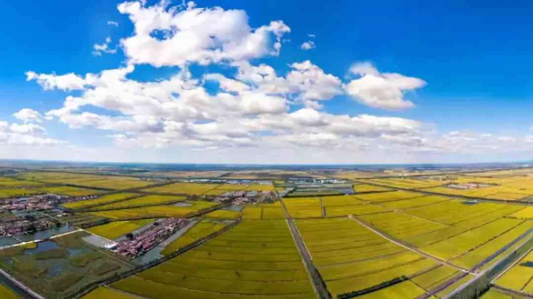 宝坻黄金价格今日查询(宝坻黄金价格今日查询消息)