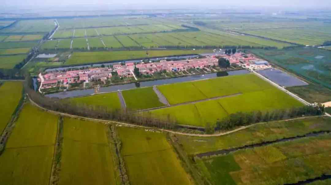 宝坻黄金价格今日查询(宝坻黄金价格今日查询消息)插图2