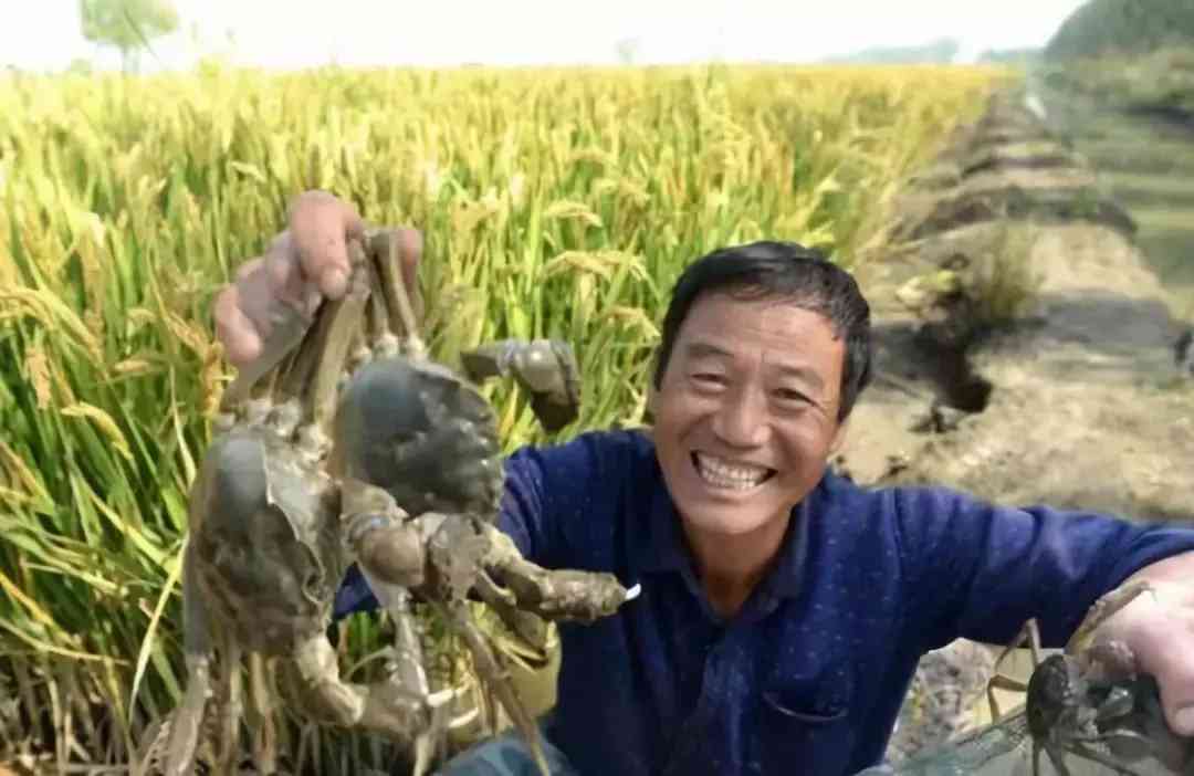 宝坻黄金价格今日查询(宝坻黄金价格今日查询消息)插图3