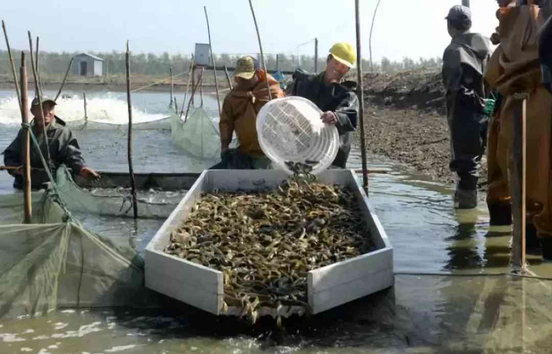 宝坻黄金价格今日查询(宝坻黄金价格今日查询消息)插图4