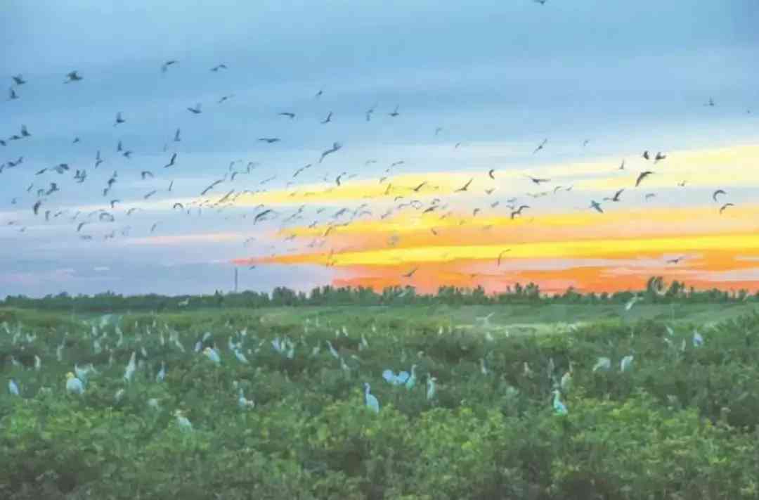 宝坻黄金价格今日查询(宝坻黄金价格今日查询消息)插图5