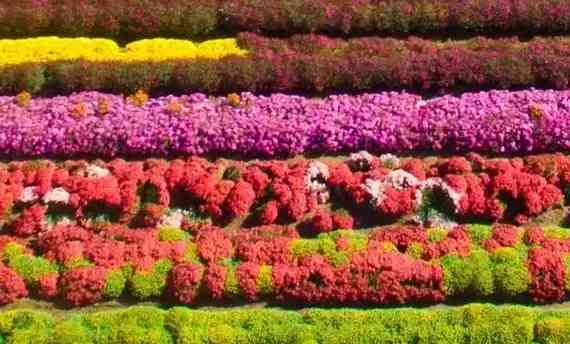 宝坻黄金价格今日查询(宝坻黄金价格今日查询消息)插图6