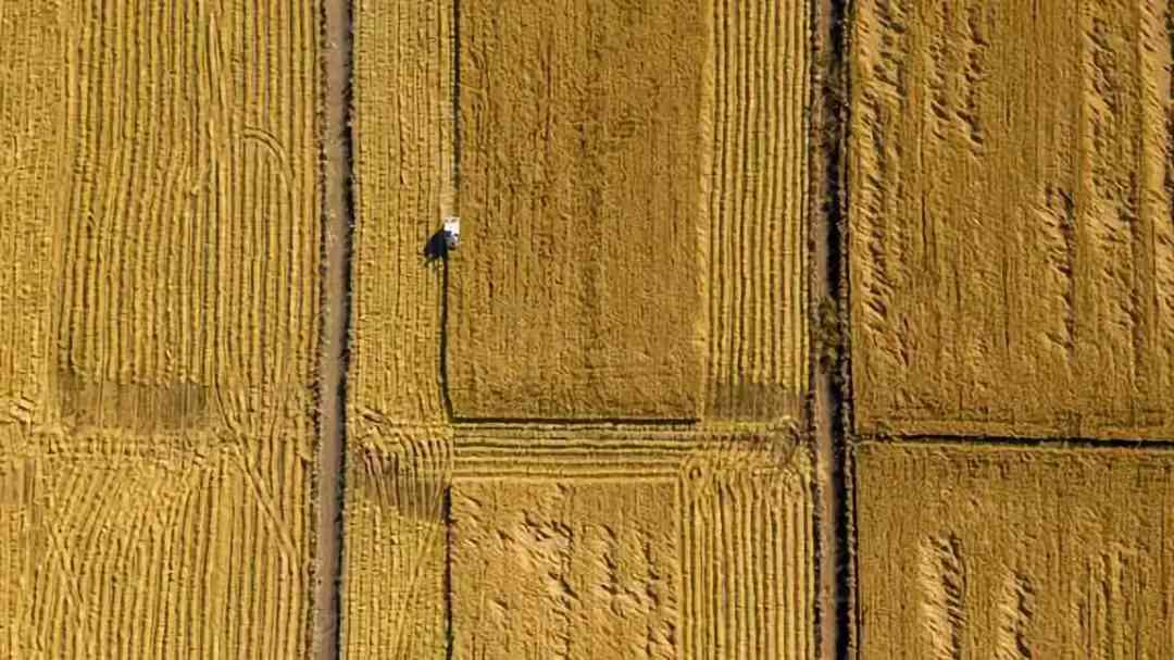 宝坻黄金价格今日查询(宝坻黄金价格今日查询消息)插图8