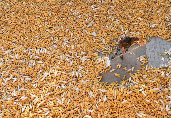 宝清县今日黄金价格(宝清县今日黄金价格查询)插图2