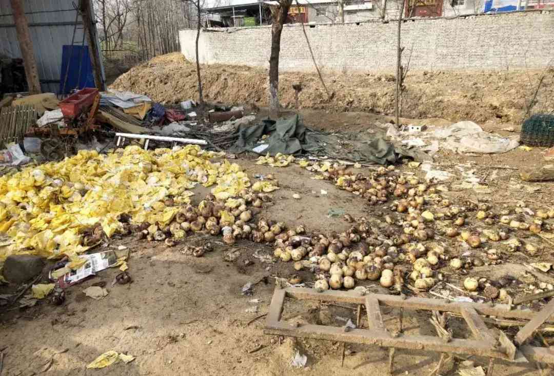 叶县今日黄金价格查询(叶县今日黄金价格查询消息)插图5