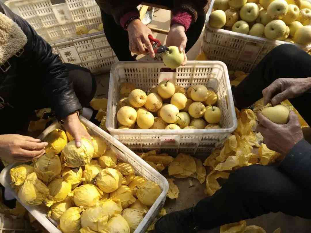 叶县今日黄金价格查询(叶县今日黄金价格查询消息)插图6