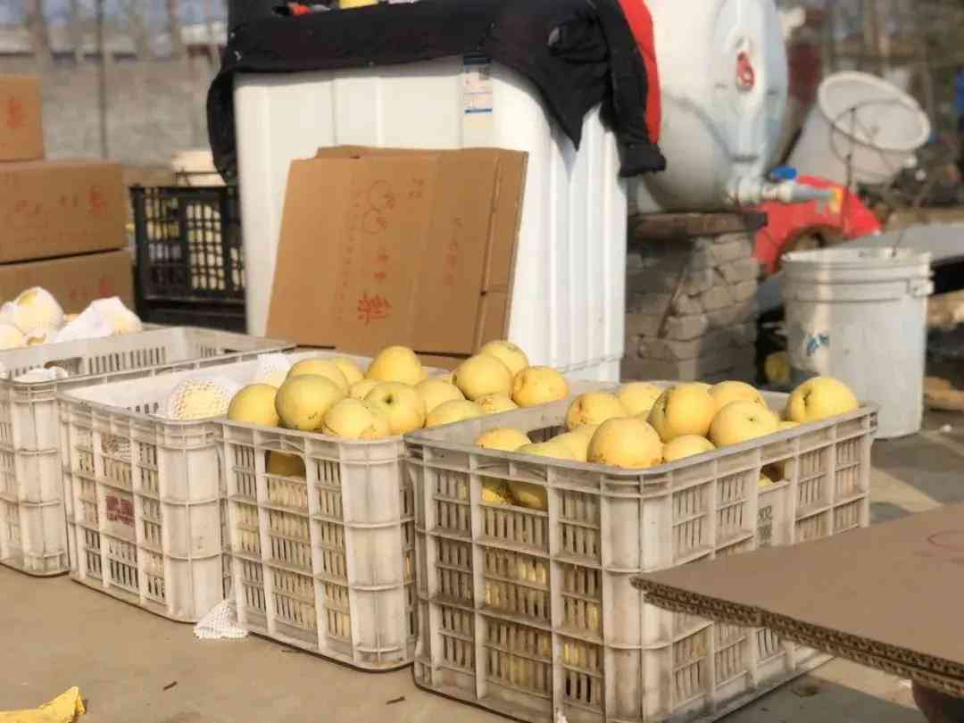 叶县今日黄金价格查询(叶县今日黄金价格查询消息)插图7