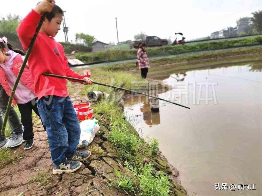 隆昌今日黄金价格查询(隆昌今日黄金价格查询消息)插图6