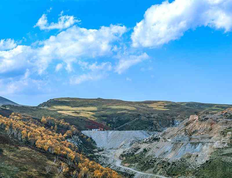 宁夏今日硅锰合金价格(宁夏今日硅锰合金价格表)
