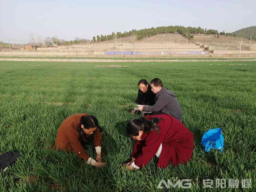 林州收购黄金价格今日(林州收购黄金价格今日消息)插图2