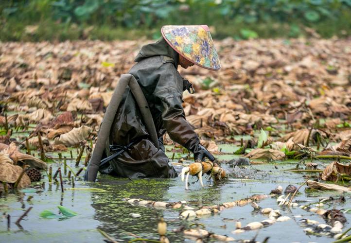 龙泉今日黄金价格查询表(龙泉今日黄金价格查询表)插图6 龙泉今日黄金价格查询表(龙泉今日黄金价格查询表)插图6