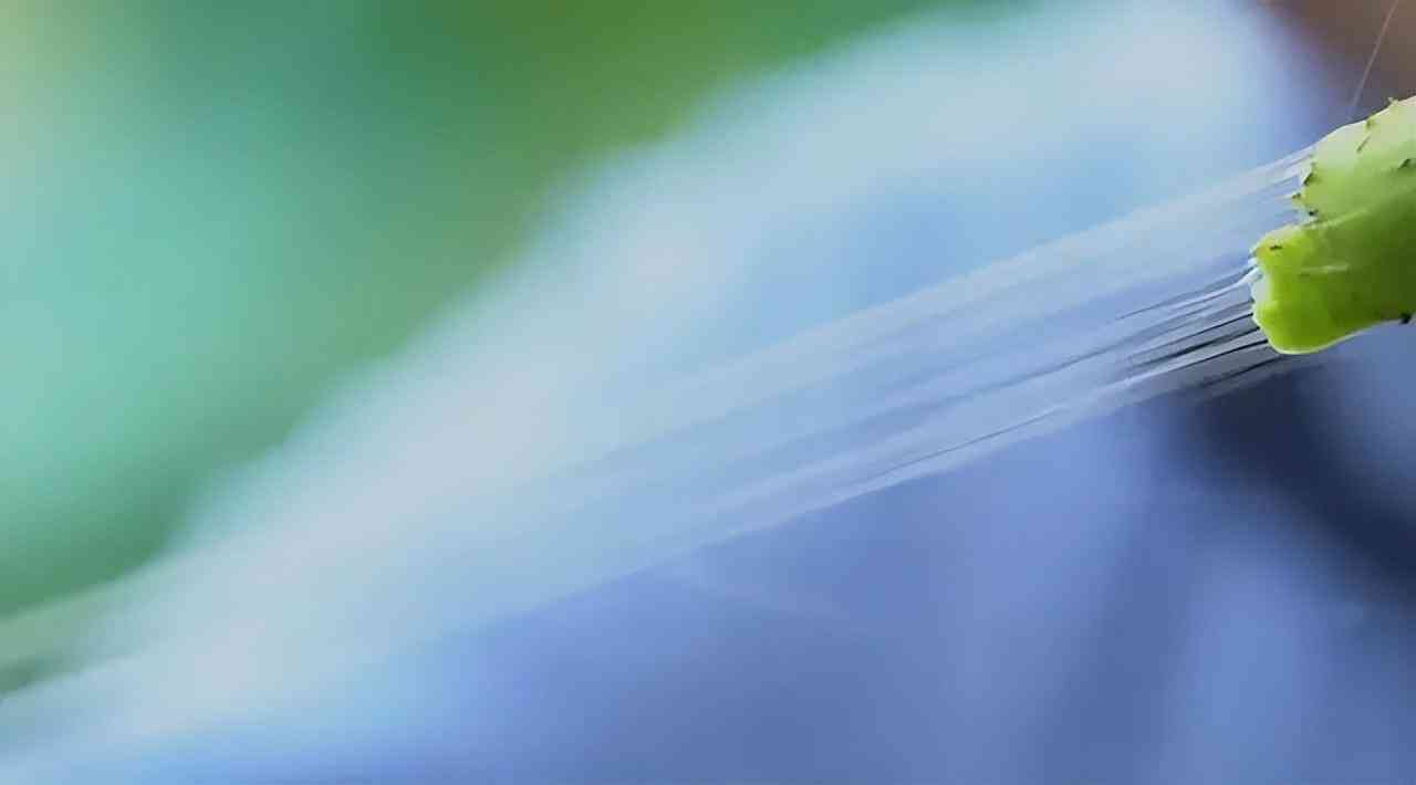 龙泉今日黄金价格查询表(龙泉今日黄金价格查询表)插图7 龙泉今日黄金价格查询表(龙泉今日黄金价格查询表)插图7