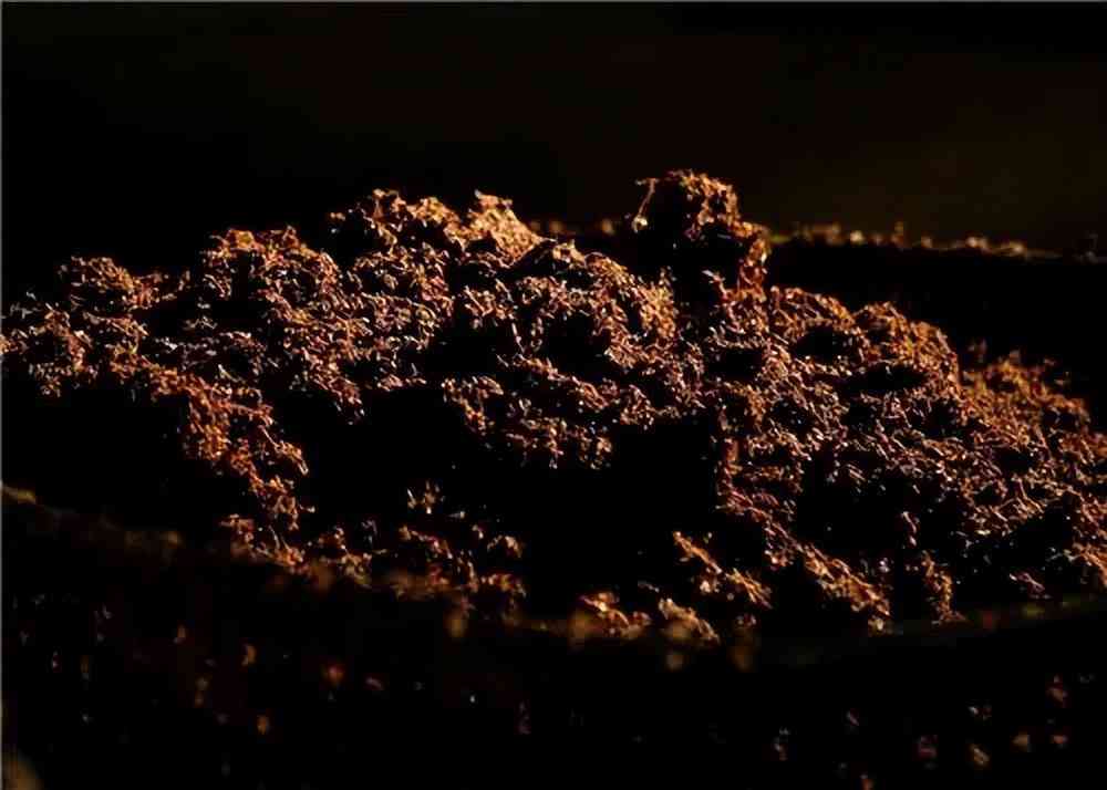 龙泉今日黄金价格查询表(龙泉今日黄金价格查询表)插图20 龙泉今日黄金价格查询表(龙泉今日黄金价格查询表)插图20