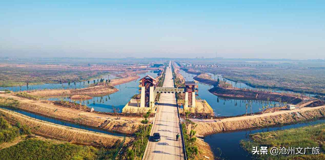 今日黄金价格海兴(今日黄金价格275元)