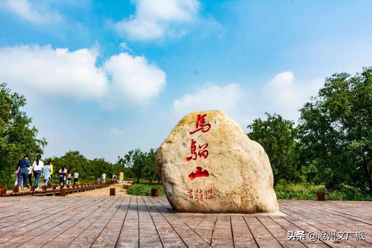 今日黄金价格海兴(今日黄金价格275元)插图2