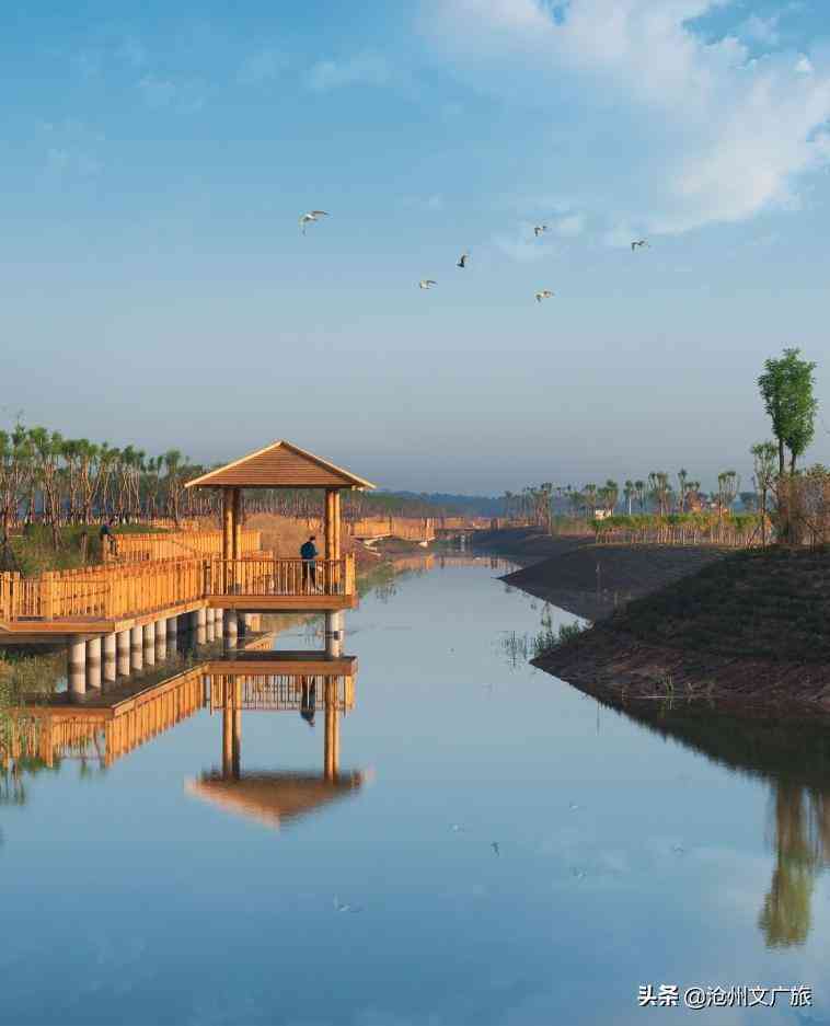 今日黄金价格海兴(今日黄金价格275元)插图3