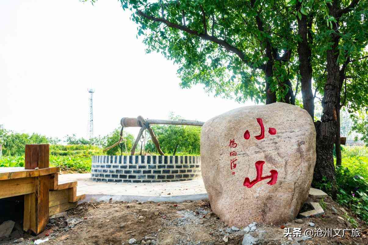 今日黄金价格海兴(今日黄金价格275元)插图4