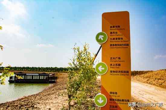 今日黄金价格海兴(今日黄金价格275元)插图9