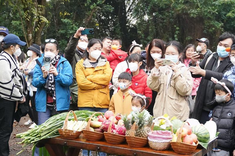 冯塘乡化妆品店在哪儿里(冯塘乡化妆品店在哪儿里啊)