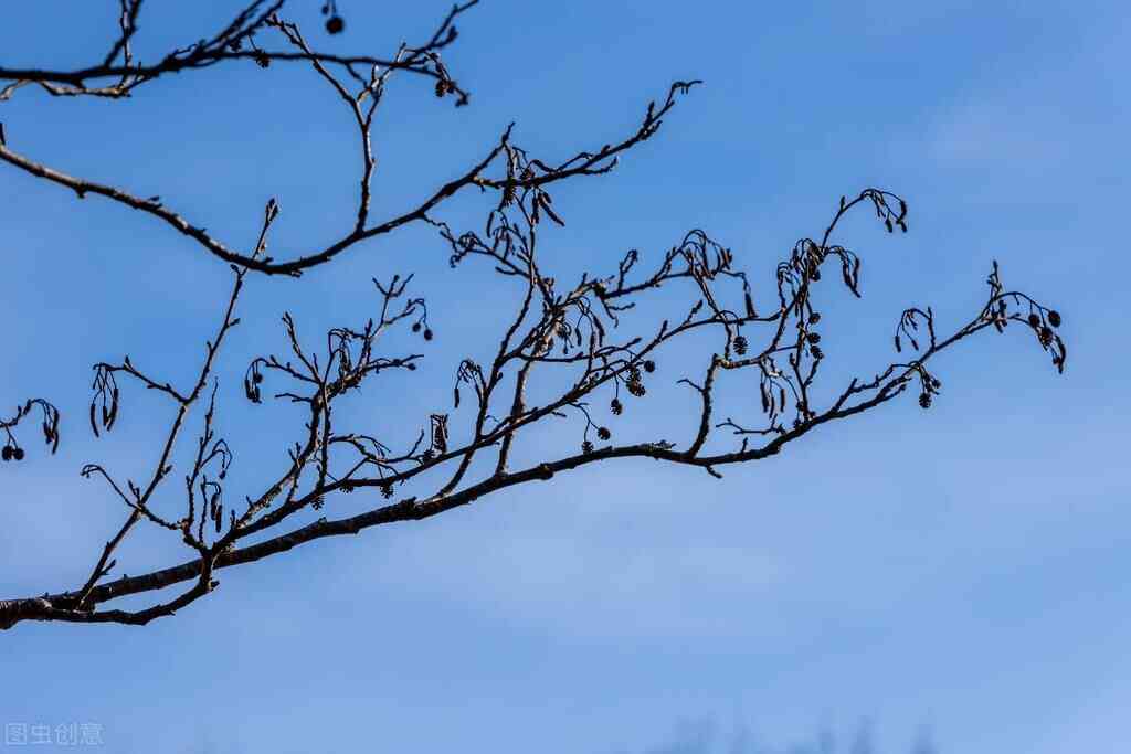 脸部用任何化妆品都刺疼(脸部用任何化妆品都刺疼正常吗)