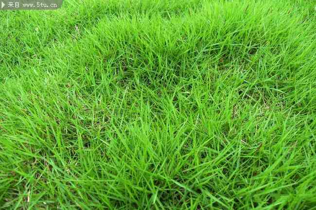 美丽春天的化妆品是正品吗(美丽春天的化妆品是正品吗图片)